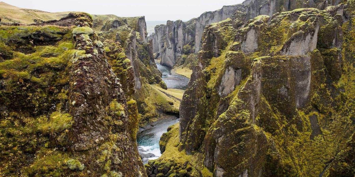 Speed to market visualization